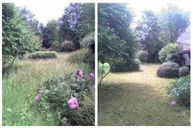 remise en etat de jardin